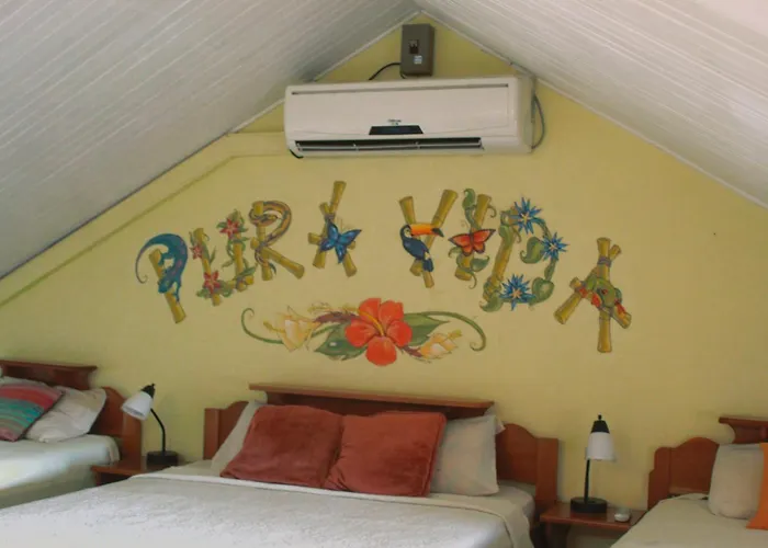 Palmeras With Ocean View Appartement Sámara