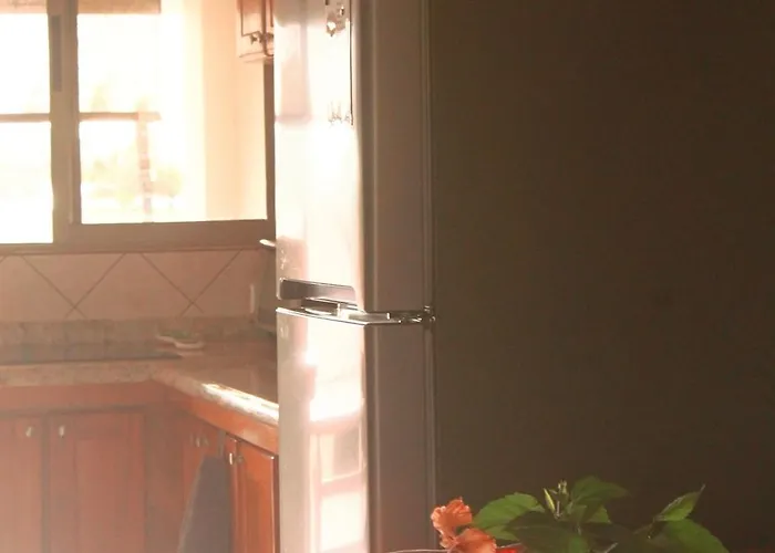 Appartement Palmeras With Ocean View Sámara