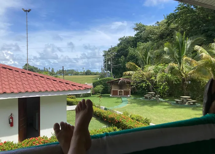 Palmeras With Ocean View