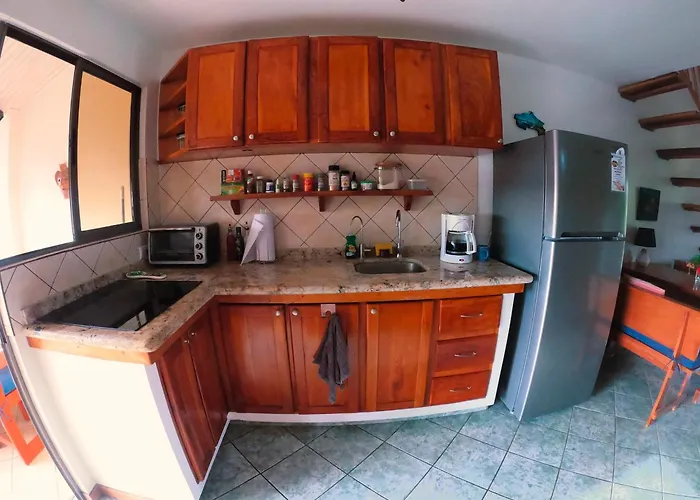 Palmeras With Ocean View Appartement *