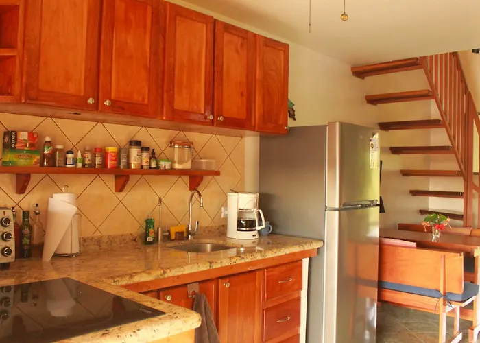 Palmeras With Ocean View Appartement Sámara