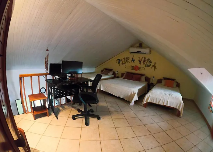 Appartement Palmeras With Ocean View *