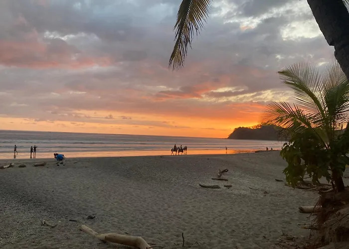 Palmeras With Ocean View *